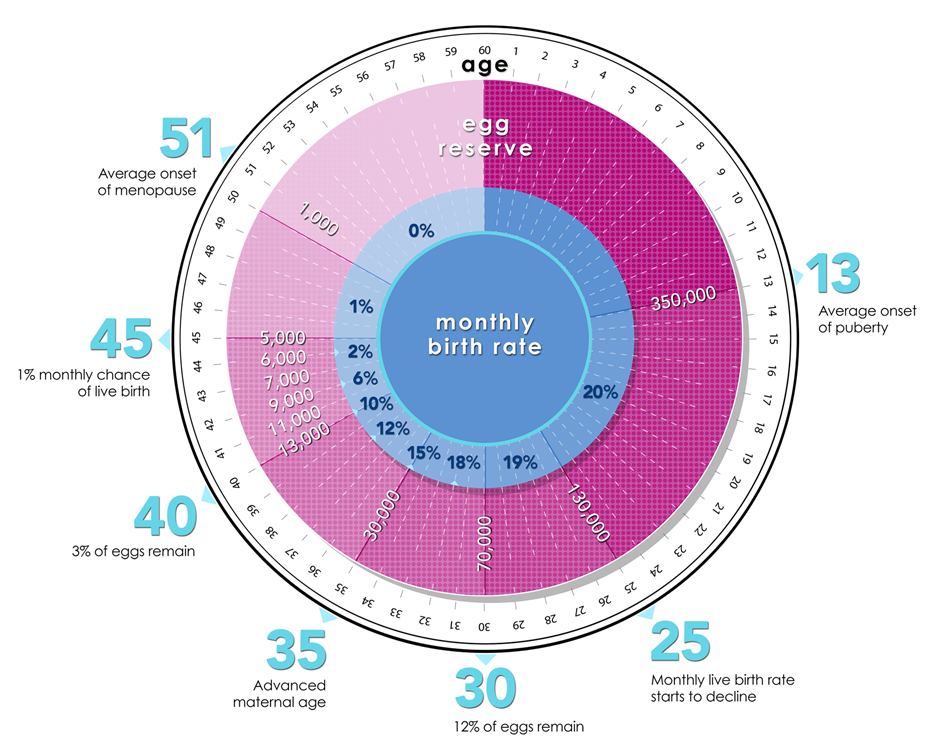 FertilityClock_Web